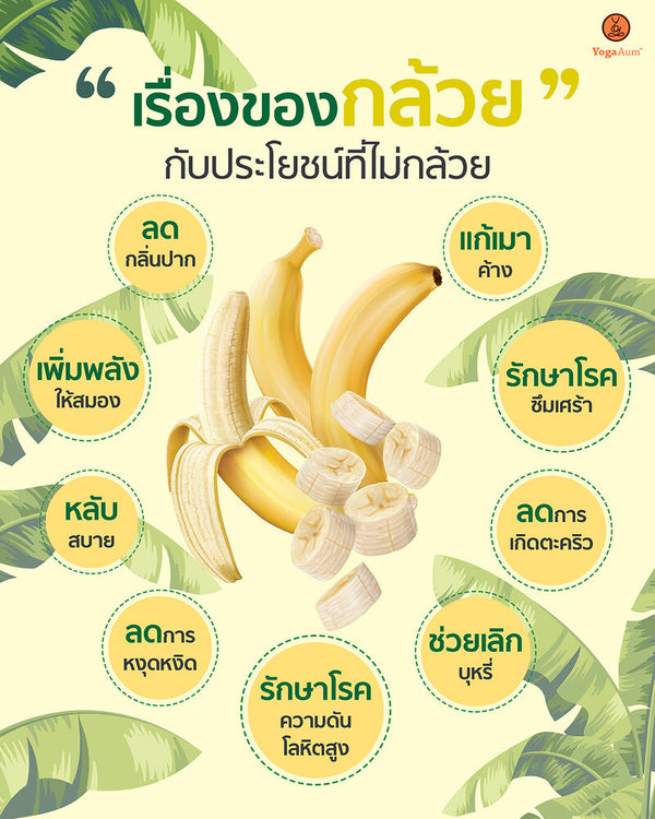 เรื่องของกล้วย กับประโยชน์ที่ไม่กล้วย